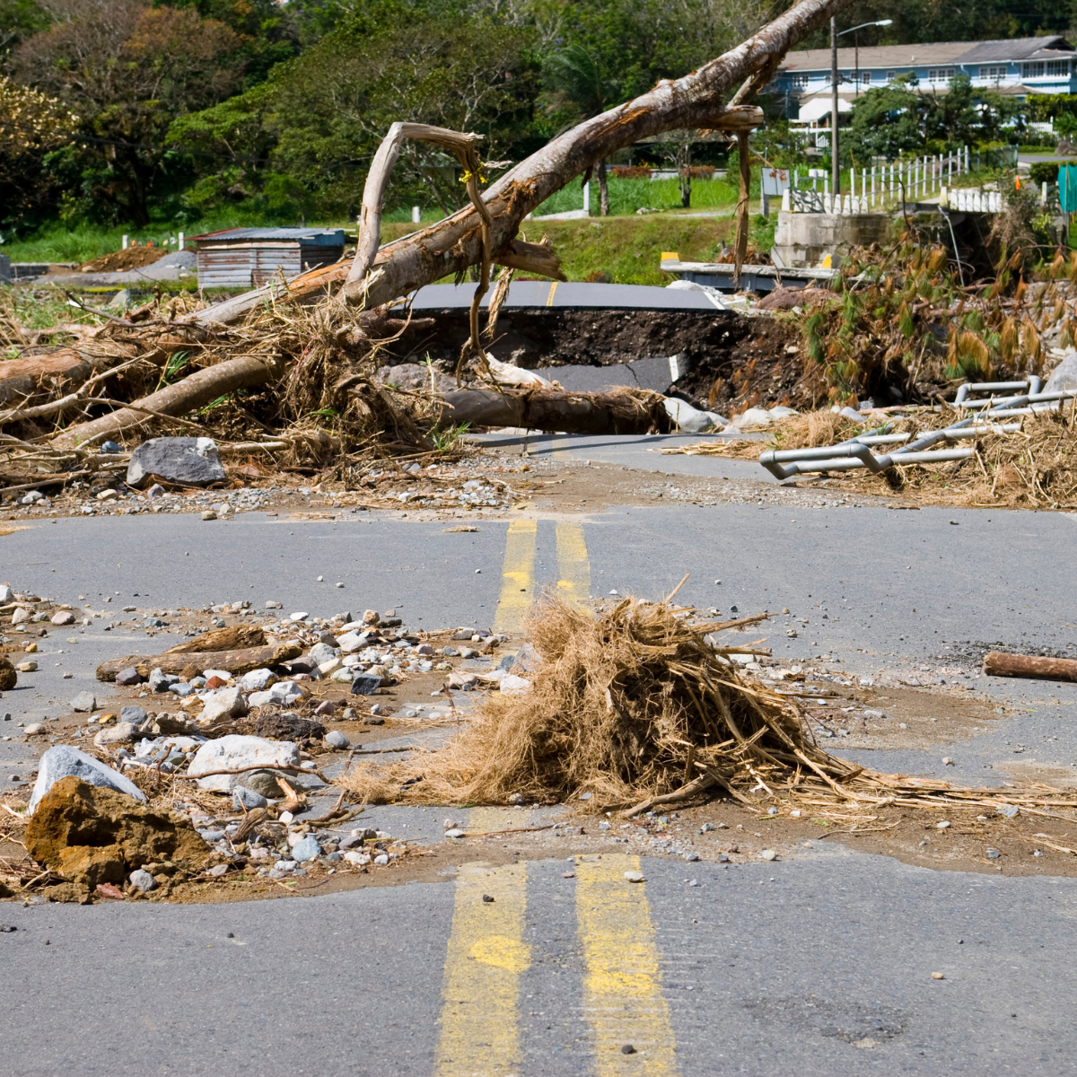 Protect Yourself from Natural Disaster Scams